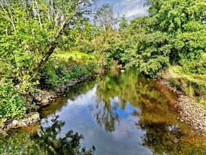 Photo 24- click for photo gallery